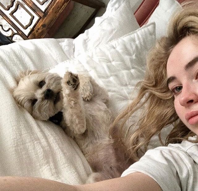 thewineyoulike's tweet photo. sabrina and goodwin 🥹🐾 https://t.co/zM5SrF8jx8