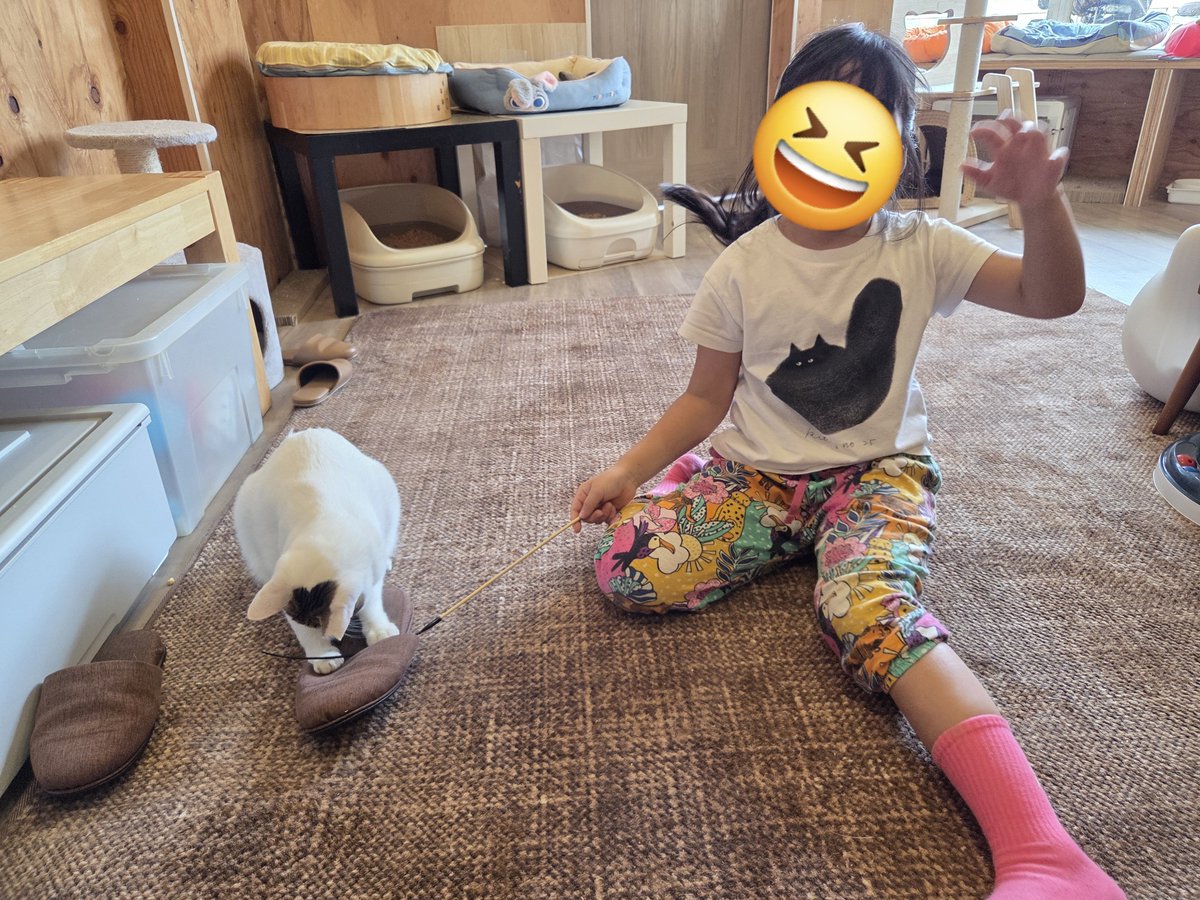 riruca's tweet photo. 昨日は娘たちの希望で保護猫カフェに行きました。
他にお客さん誰も来なくて、おやつ一緒にあげさせてもらったりと楽しかった。猫はよい。 https://t.co/nWHYFy91UE