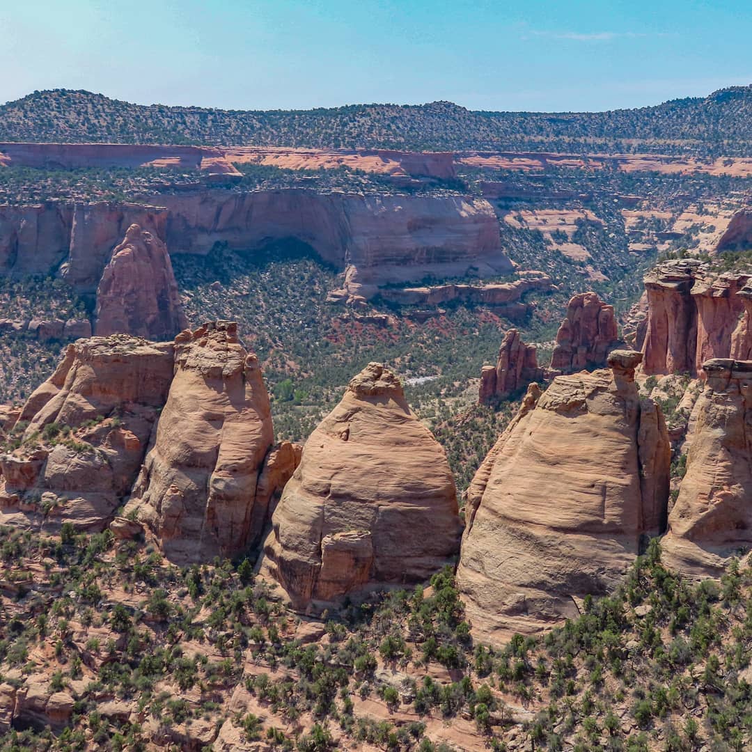 YuriSake0m's tweet photo. After years of passing the Colorado National Monument exit on I-70, I finally visited. It exceeded all expectations—like Monument Valley, Canyon de Chelly, and Mesa Verde. I’ll definitely be back. https://t.co/tlze5xZYWF