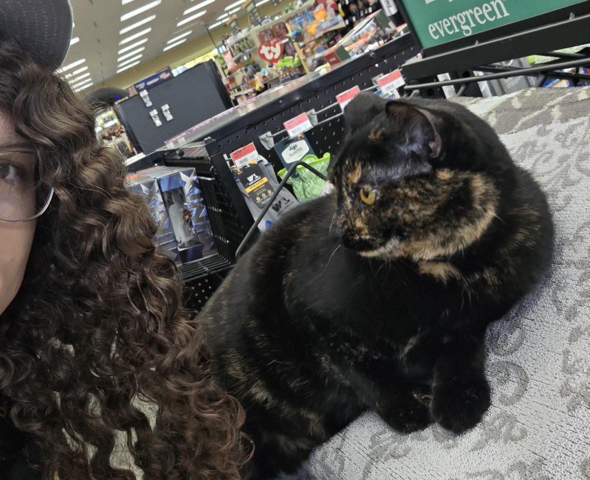 SarahBurssty's tweet photo. ACE HARDWARE HAS A STORE CAT HER NAME IS MISSY AND SHE'S VERY SWEET I WANNA GO BACK I LOVE HER https://t.co/DaQls2nJR4