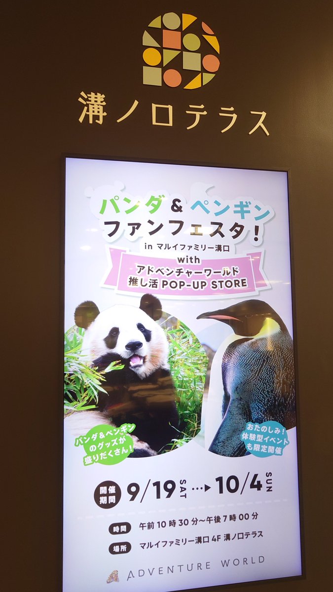 kaoripenguin's tweet photo. 今日はアドベンチャーワールドのPOP-UP STORE「パンダ＆ペンギンファンフェスタ！in マルイファミリー溝口」に遊びに行ってきた！楽しみにしてたLIVEトーーク！を見に行けてすごく楽しかったしぺものコレクションも増えてしあわせ(*≧∀≦*)💕💕💕 https://t.co/HlX7MxmVB9