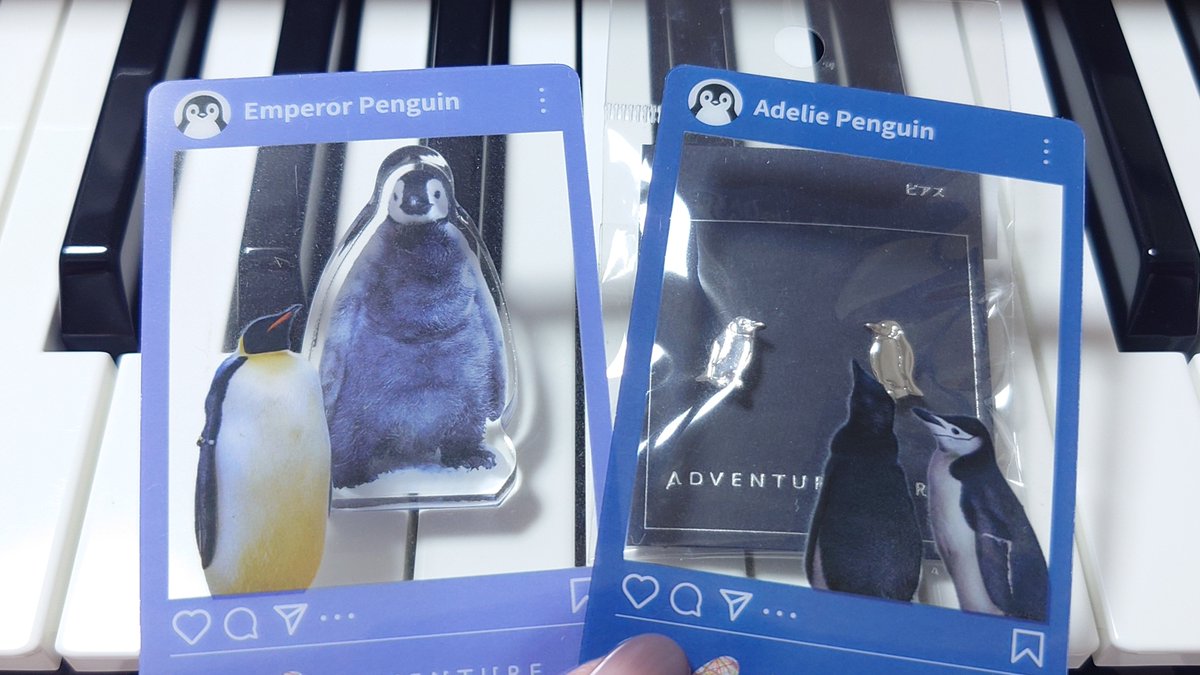 kaoripenguin's tweet photo. 今日はアドベンチャーワールドのPOP-UP STORE「パンダ＆ペンギンファンフェスタ！in マルイファミリー溝口」に遊びに行ってきた！楽しみにしてたLIVEトーーク！を見に行けてすごく楽しかったしぺものコレクションも増えてしあわせ(*≧∀≦*)💕💕💕 https://t.co/HlX7MxmVB9