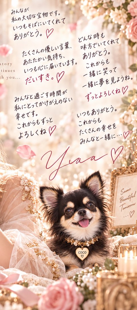 yua__days's tweet photo. みんなへ💕 1500人、本当にありがとう😭💓

いつも見てくれて、応援してくれて、優しい言葉をくれてありがとう😊 楽しい時も悩んだ時も、みんながいてくれたからここまで来られたよ❤️

これからもナナ・ココと一緒に、ゆあらしく楽しい時間を届けていきたいな🐶🐶💕

出会ってくれたみんな、大好きだよ😍 これからもずーっとよろしくね💋

ゆあ・ナナ・ココより❤️