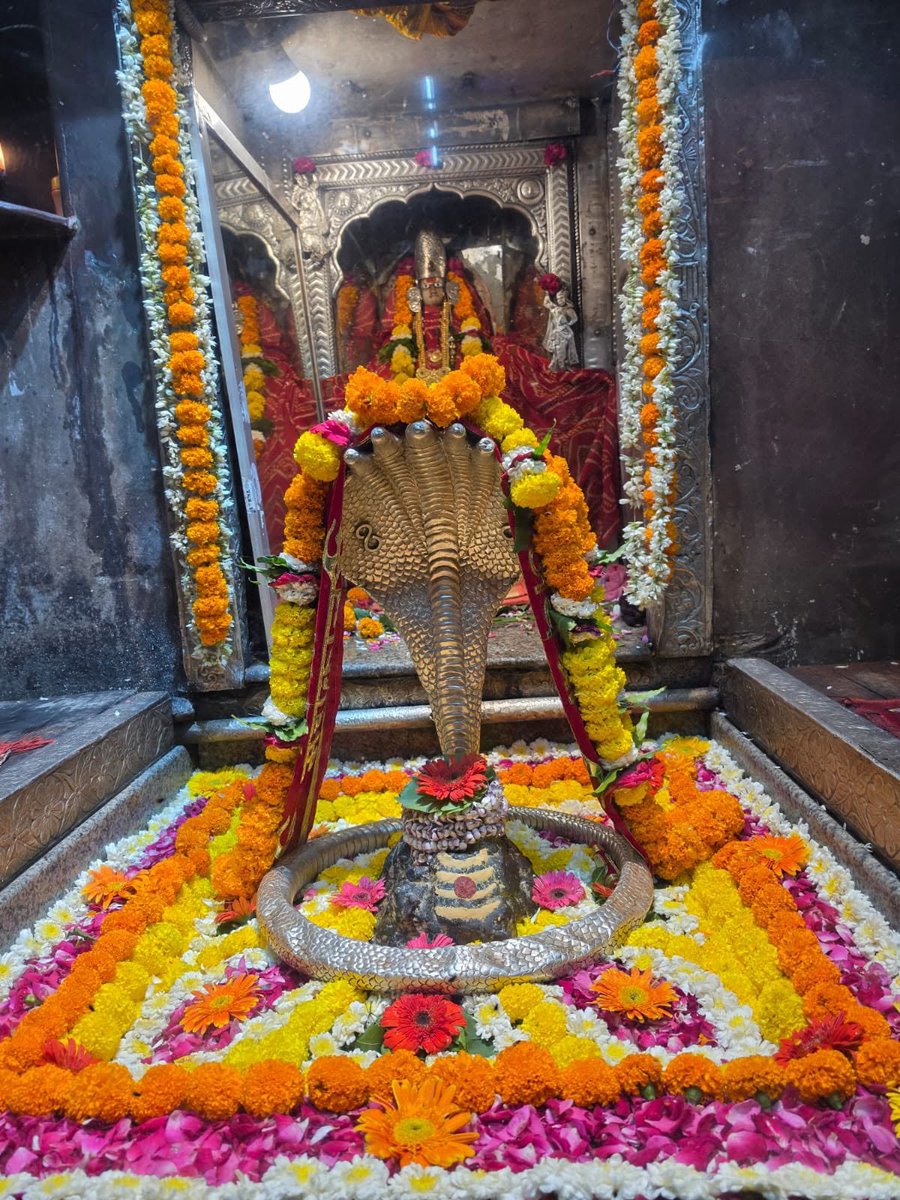 BabaBadevranath's tweet photo. श्री ॐकारेश्वर ज्योतिर्लिंग संध्याकालीन आरती श्रृंगार | 20.09.2026 https://t.co/73S8Zozj90