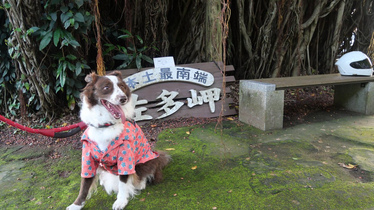 border_mocha's tweet photo. 本土最南端「佐多岬」到着！
ここから歩いて15分の展望所もあったけれど
ちょーっとかーちゃんの元気が足りなかった🫪🫪🫪🫪🫪 https://t.co/B6SyNS5sNc
