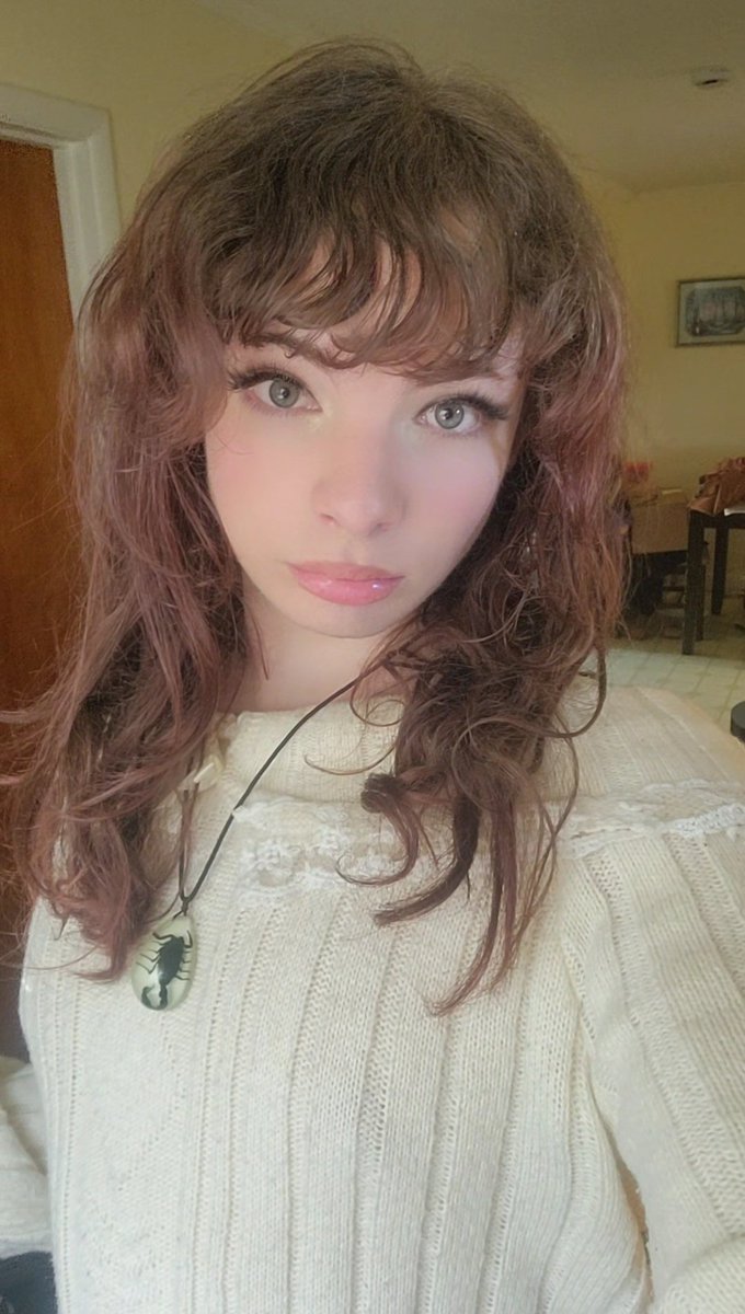 NovvaCat's tweet photo. Me when i order femboy in a sweater https://t.co/s7jU4ws2DU