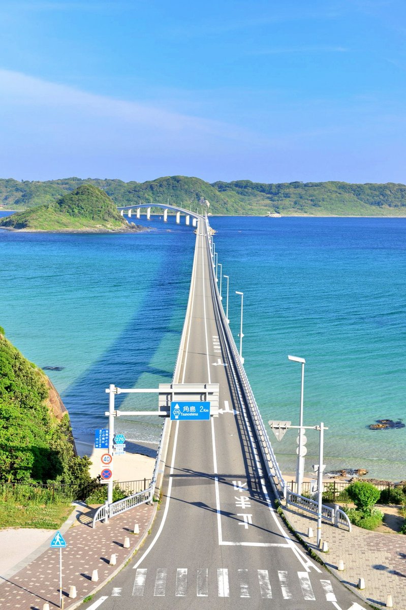 Nlandrade's tweet photo. ＞RP
わたしも激推ししている四海樓さん、大都のポップも気合い入ってますよ 大阪に行く時は必ず寄ってる https://t.co/jAXnwYZhdd