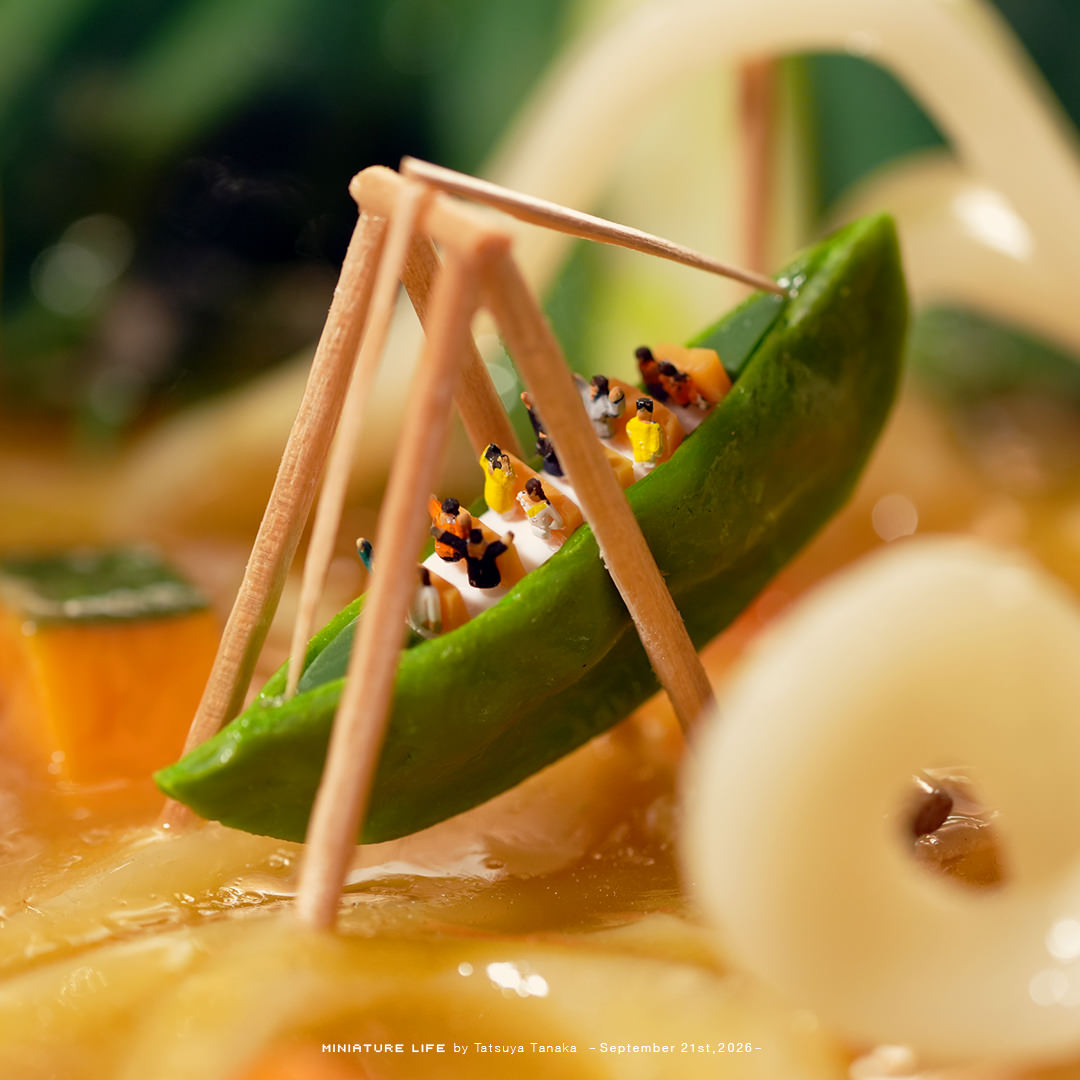 tanaka_tatsuya's tweet photo. 麺食らうほどの絶景 https://t.co/VTMjKOmxl8