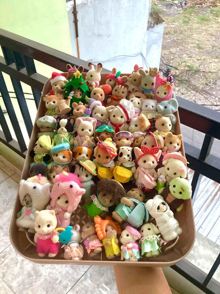 streliw's tweet photo. just a bunch of sylvanian sunbathing on my balcony~☀️🕶️ https://t.co/PpNi5TcPC3