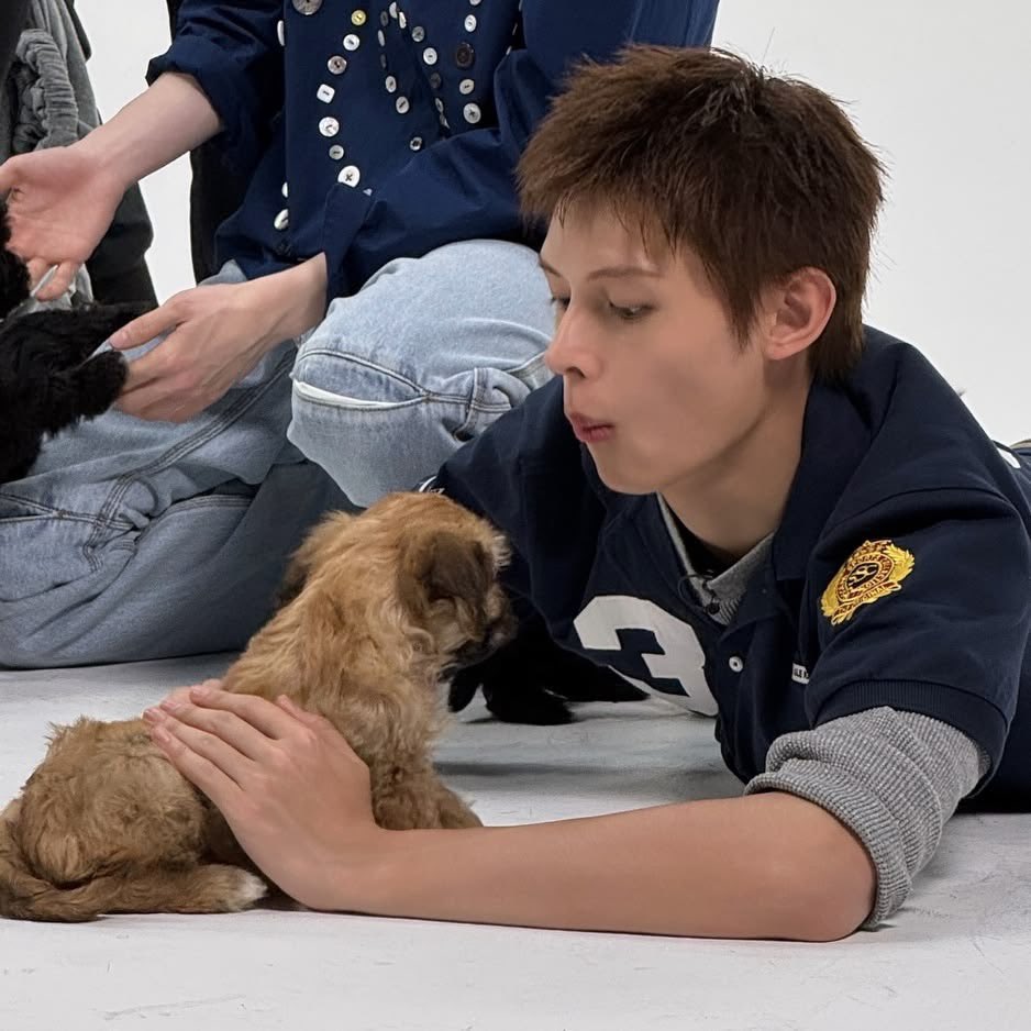 prodzbiased's tweet photo. puppy w kitty                                    kitty w puppy https://t.co/djoylj63Nd