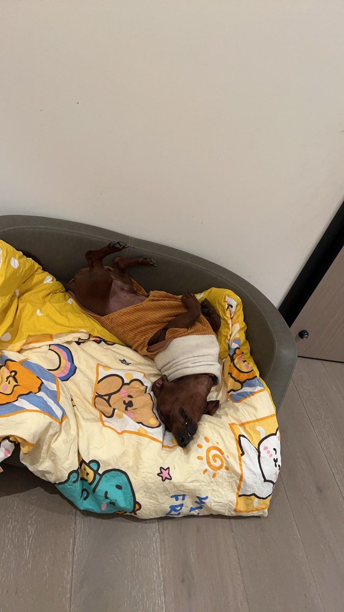 SomerReschha's tweet photo. Acabo de doblar la colada y me encontré una nota dibujada por mi perro en la almohada — pequeos regalos inesperados que alegran la tarde! https://t.co/qW9MIob0TT