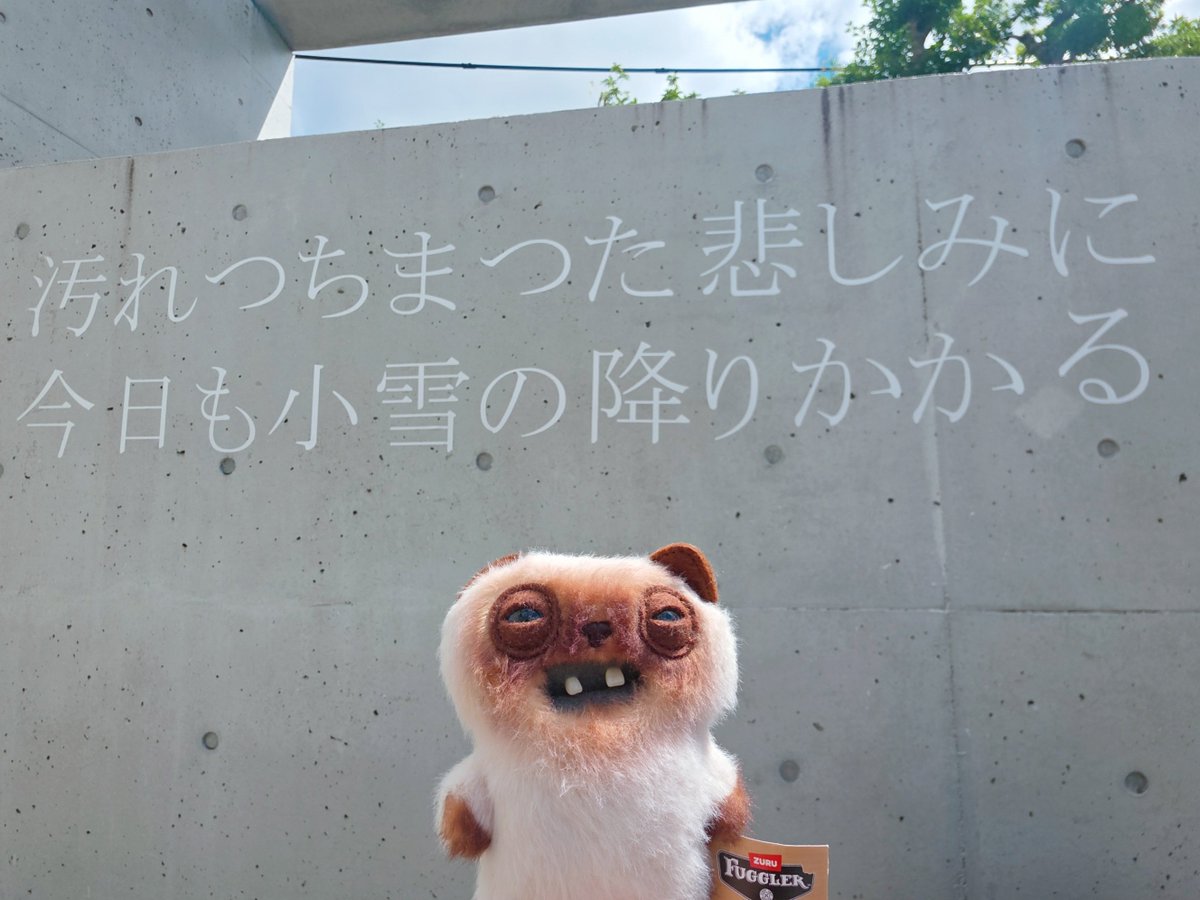 ImpulseOf's tweet photo. ヨーパー
叙情詩を知る
#fuggler #BabyFugg #ALLEYCATS #YAWPER #ファグラー #ぬい活
#ファグラーとの生活 https://t.co/e3dUDwJH1o