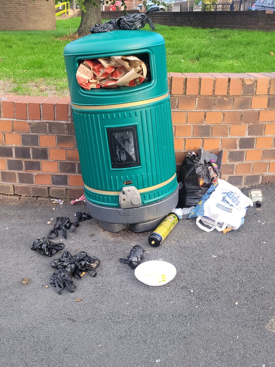 Litterwatch1's tweet photo. Right then! Carolโs Sunday morning trot around her patch is done and dusted: Cleared & reported the overflowing bin by Stone Cross Library. Sorted out #flytipping spots by Hall Green Street & Westminster Field. Lola got the morning off after a busy night of snoring! #Sandwell https://t.co/iKDQFClDzO