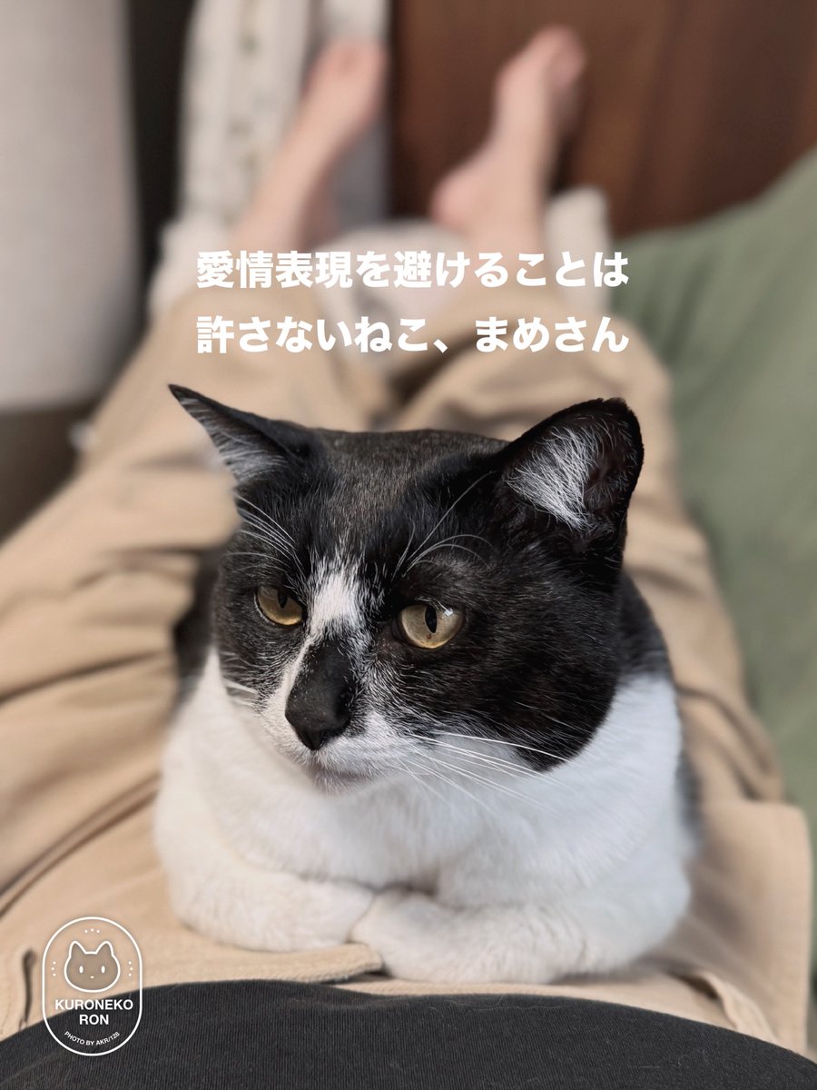 bou128's tweet photo. 私の愛情表現を避けるな──ッ‼️‼️
ってド叱られた絵日記　すいません… https://t.co/yRqaMuJ4or