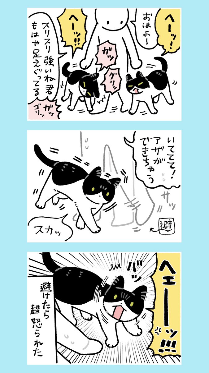 bou128's tweet photo. 私の愛情表現を避けるな──ッ‼️‼️
ってド叱られた絵日記　すいません… https://t.co/yRqaMuJ4or