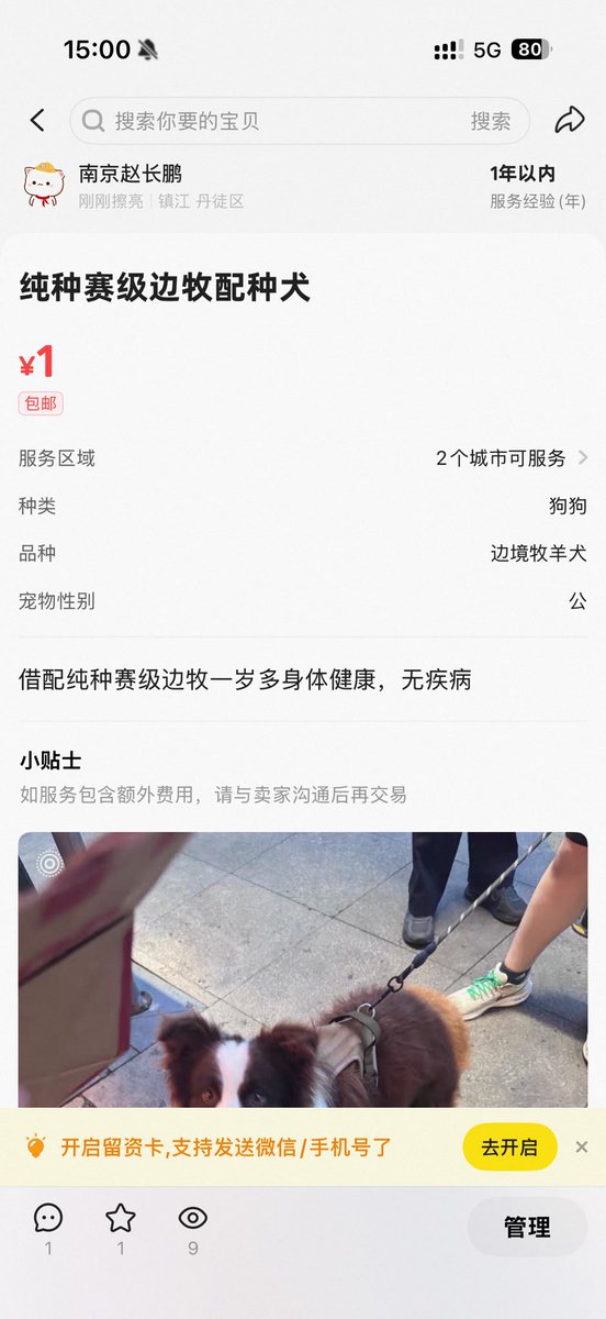 pigxxjpp's tweet photo. 最落魄的时候叫自己家狗去卖过 https://t.co/tbbuTo1Yd8