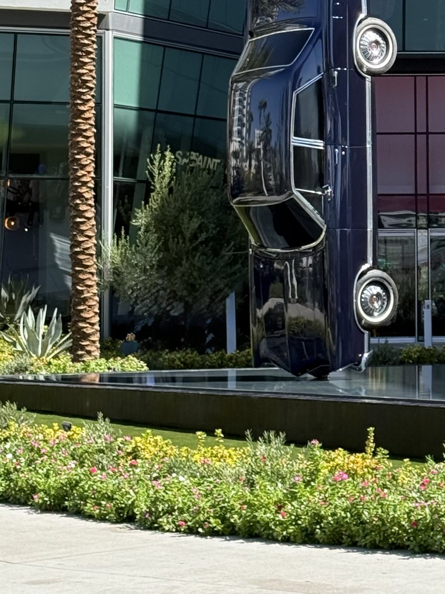 techbubble's tweet photo. gm ☀️ How many palm trees? https://t.co/n6DS1fypT0