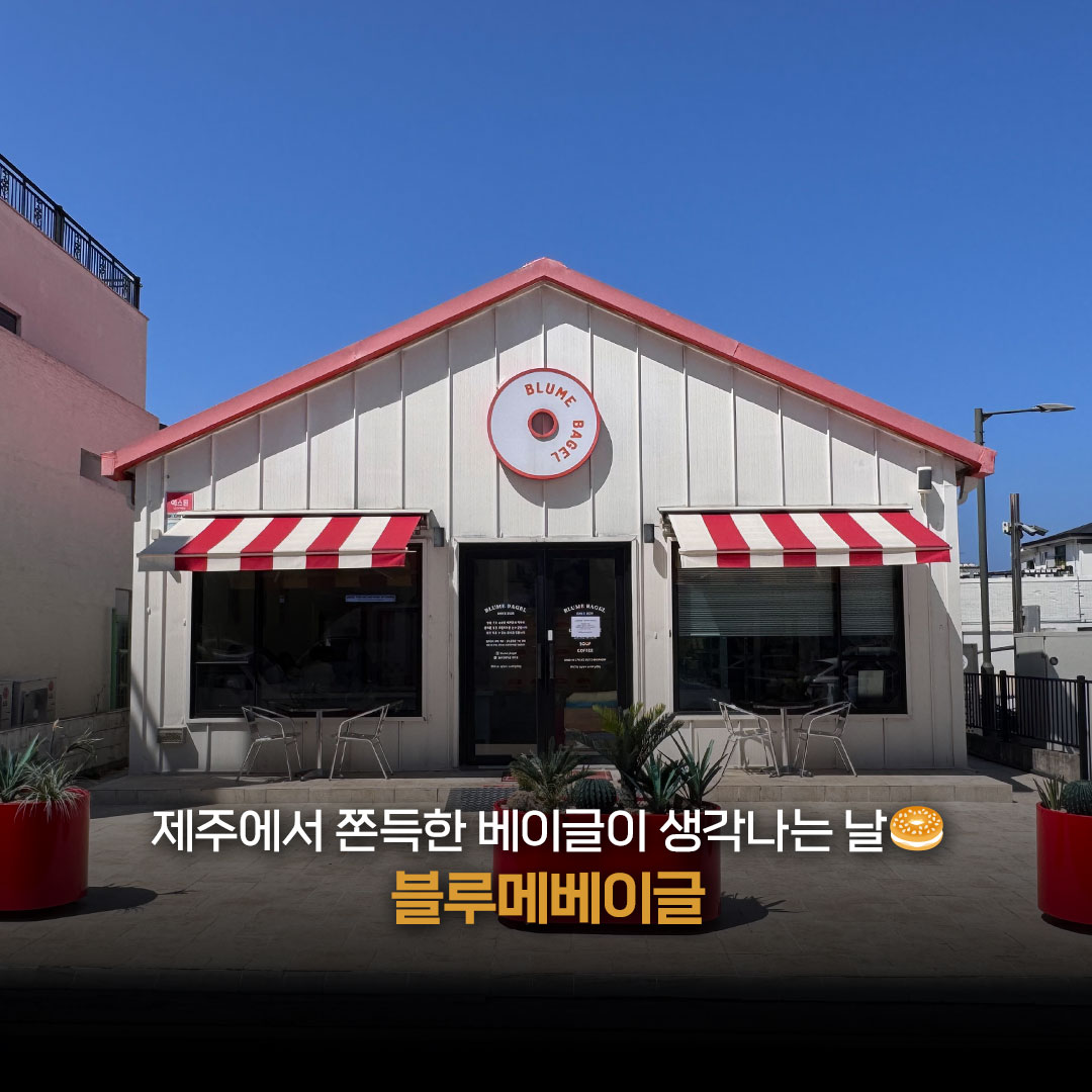 Artjk87's tweet photo. 제주에서 쫀득한 베이글이 생각나는 날, 블루메베이글
한 끼로 든든하게, 간식으로 맛있게!
제주 베이글 맛집을 찾고 있다면 저장해 두세요📌
#블루메베이글 #제주베이글 #제주베이글맛집 #제주빵집 #제주카페 #제주카페추천 #제주맛집 #제주여행 #빵지순례 #064EDIT https://t.co/WvRpth9b7P