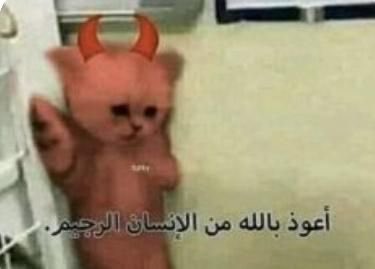 wlcvx's tweet photo. @bos_1l خاف تعطبينه المسكين https://t.co/R6xDjtqChW