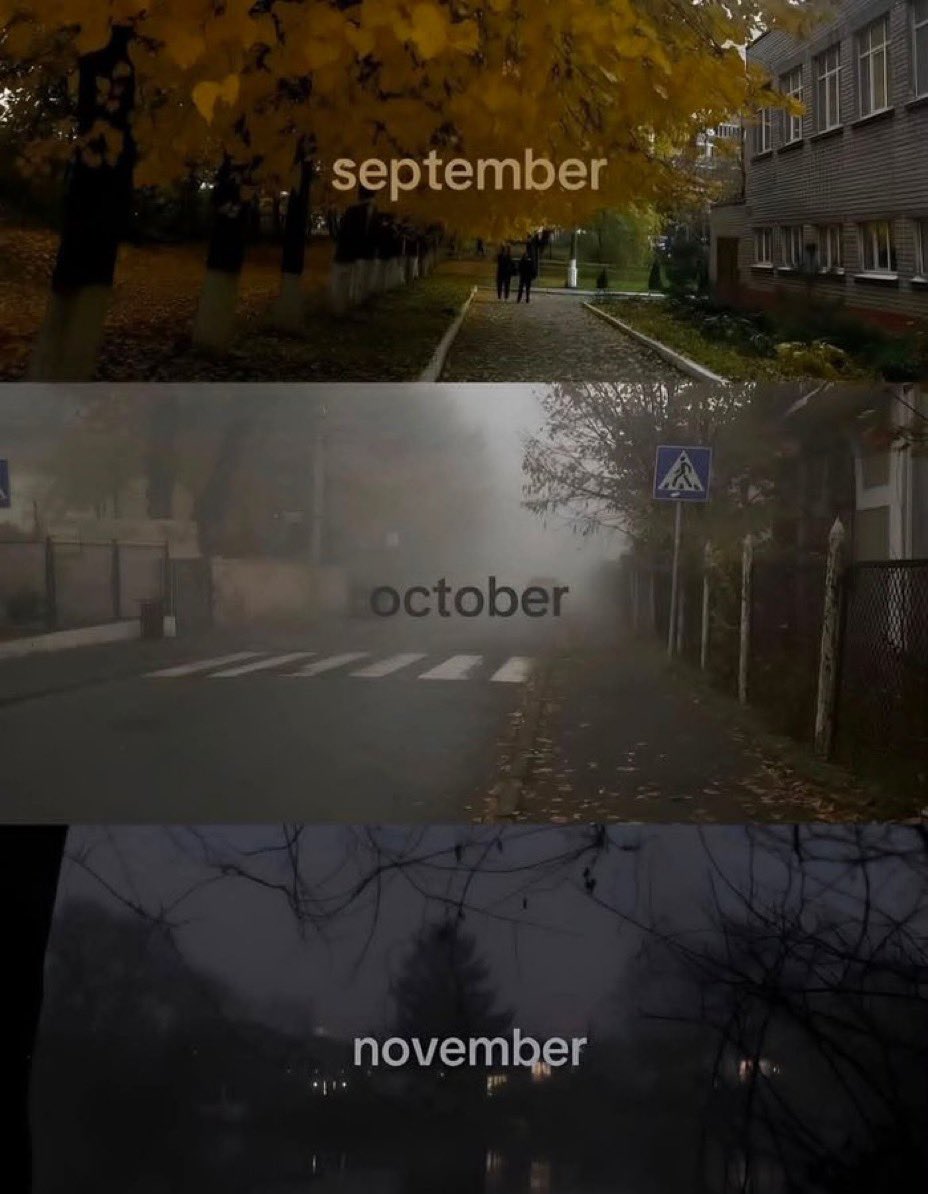 spooky_nature's tweet photo. https://t.co/xSxEBWtjRl