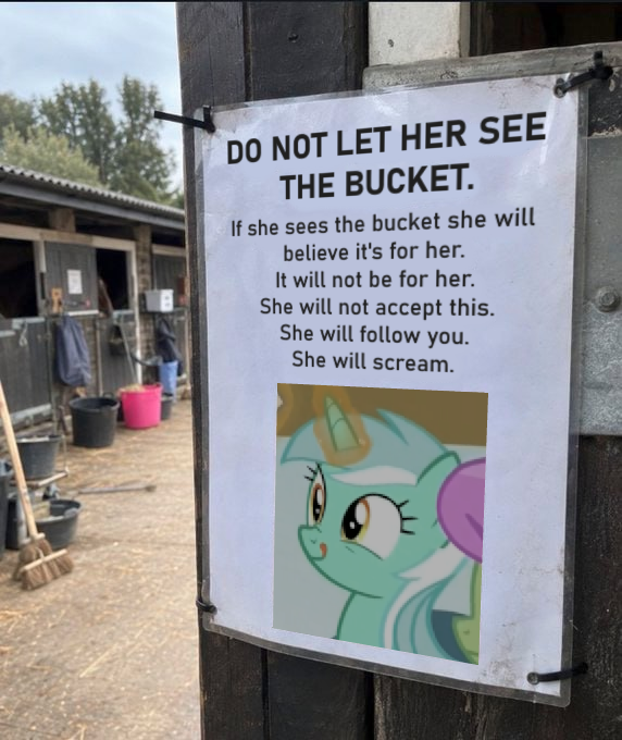 DrNachtschatten's tweet photo. the bucket https://t.co/jrcrxnsyXO