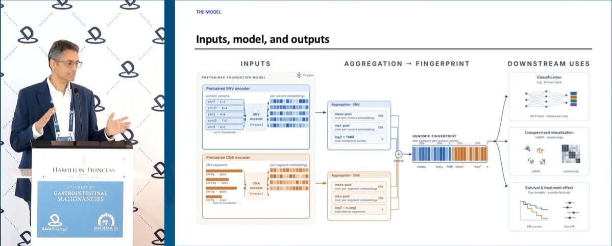 DAVAOnc's tweet photo. At #DAVAGI, Dr. @MDmanishshah @WeillCornell presents TESSERA, a foundation model trained on ~10,000 tumour genomes across 30+ cancer types, integrating mutations and copy-number patterns to support tumour classification, prognosis, and regimen selection, including first-line CRC and PDAC.