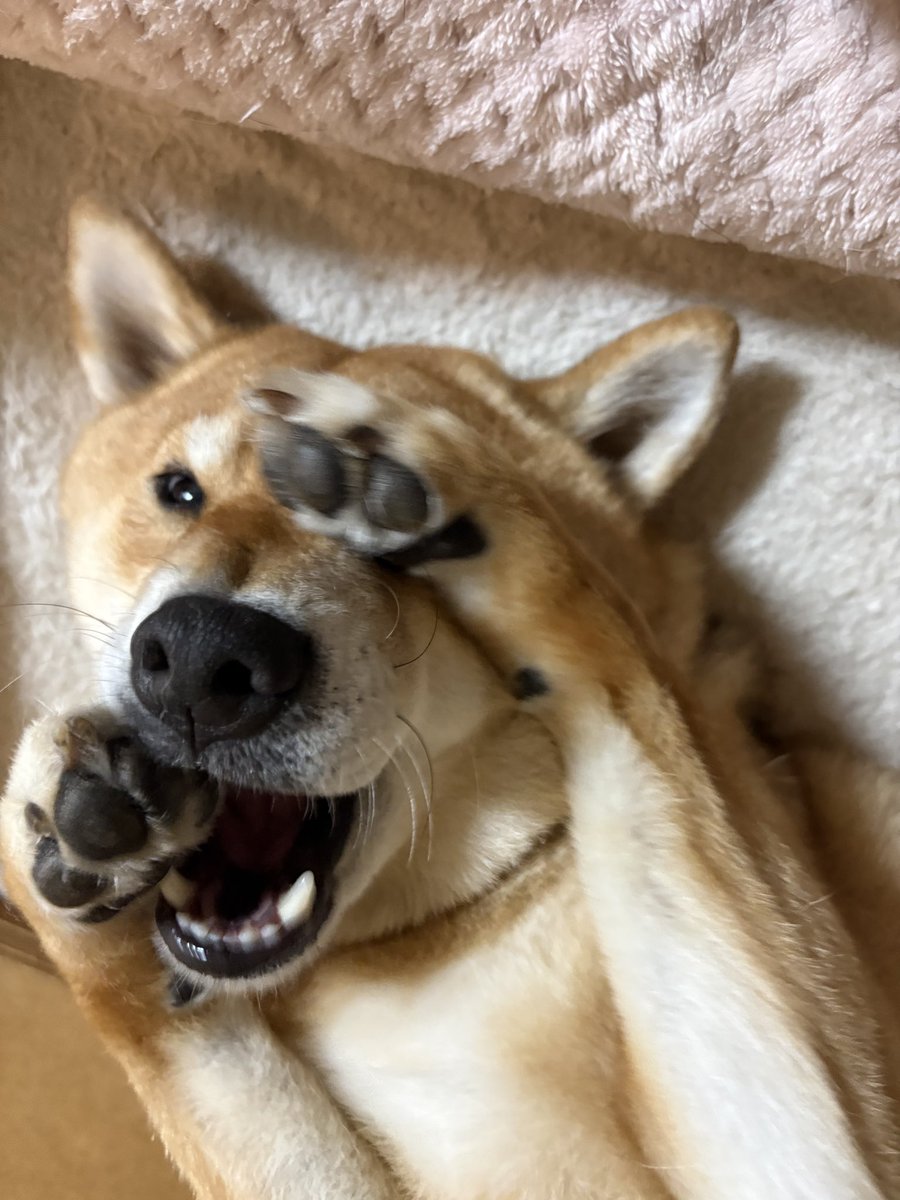 wasurenaide0707's tweet photo. https://t.co/lZCxcSzXKt