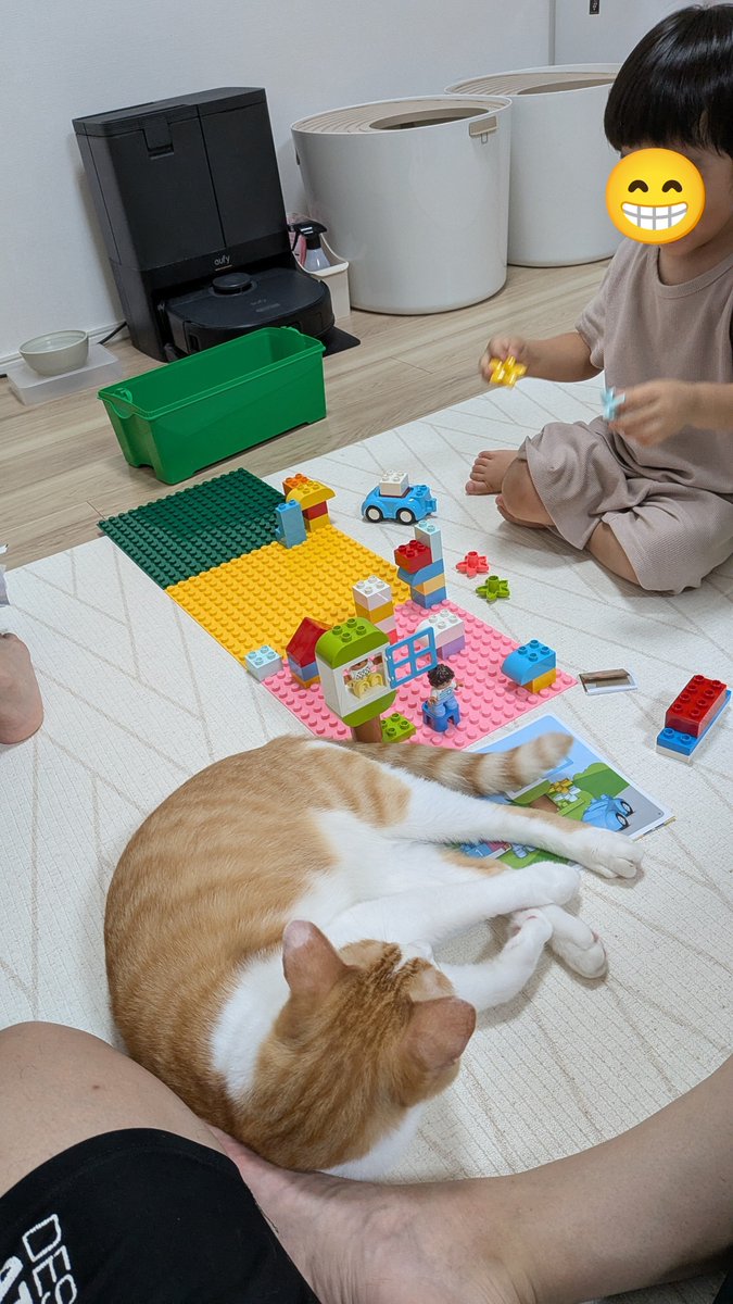 tsuru_1985's tweet photo. 今日買ってあげたレゴブロックで子供がずっと遊んでくれてる。ホントは資格試験の勉強したいんだけど、今はどうでもいい。子供の成長をずっと見ていたい。猫かわいい。 https://t.co/7dYzbYfPUN