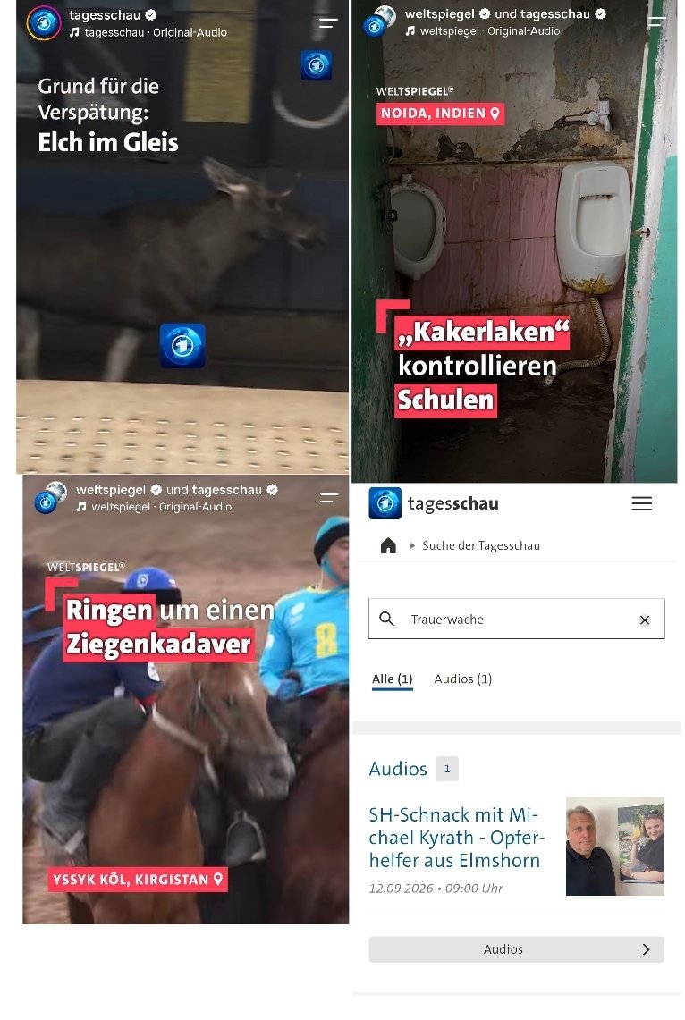 OERRBlog's tweet photo. Worüber die Tagesschau berichtet:
- Elch im Gleis in Polen ✅️
- Kakerlaken auf indischem Schulklo ✅️
- Ringen um Ziegenkadaver in Kirgisistan ✅️
- #Trauerwache in Frankfurt am Main ❌️
Wie kann das sein @gaborhalasz1? #OerrBlog https://t.co/yb3wZCB0P7
