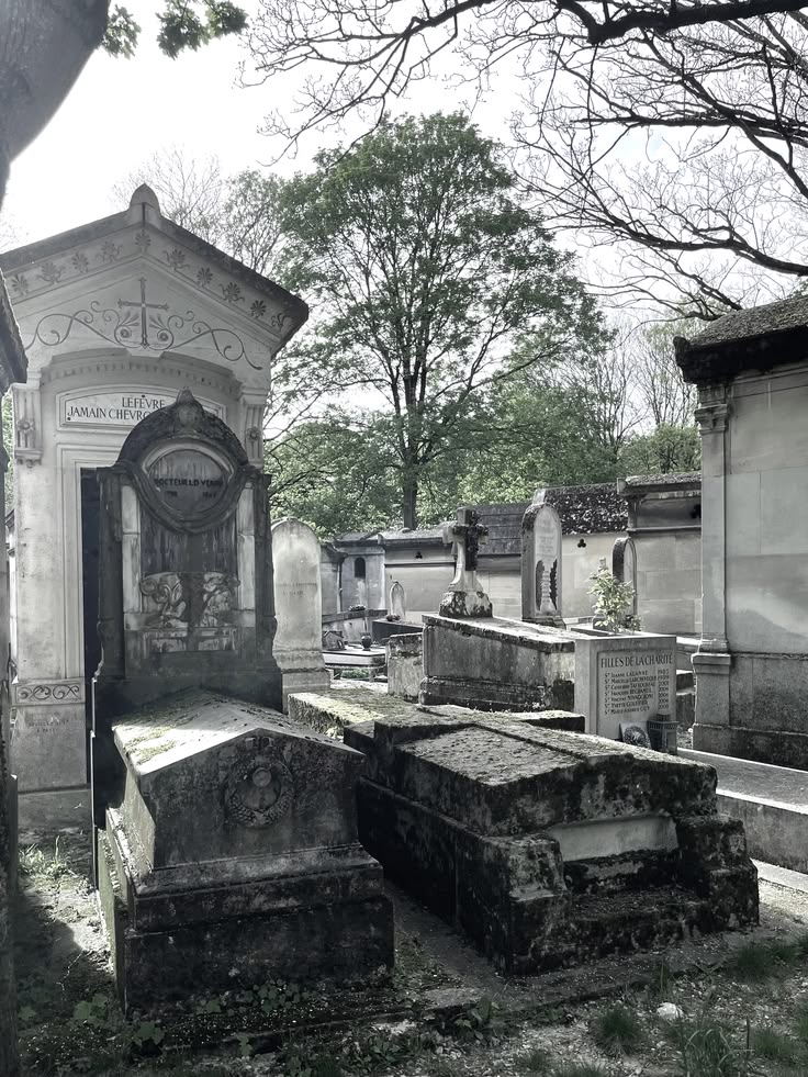 bIoodfangs's tweet photo. i love the way humans romanticize death by making cemeteries as beautiful as possible. we don’t actually need coffins and graves to be so gorgeous and detailed. it comes from something deep within the human soul, the vitality to make everything romantic. it’s at our core https://t.co/nhlw0N2oIr