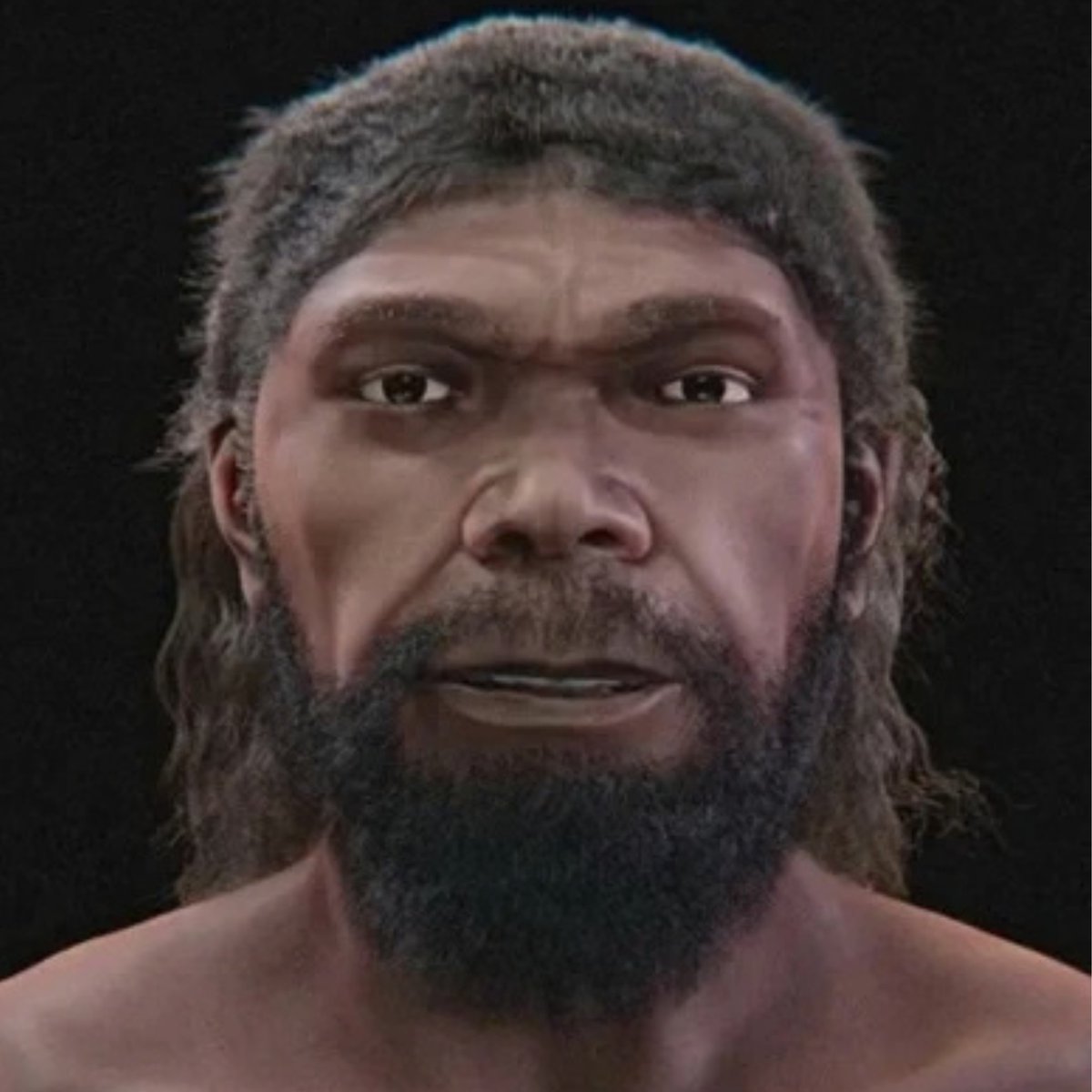 bosunatiklama's tweet photo. Bilim insanları, 315 bin yıllık fosillerden yola çıkarak ilk Homo sapiens'in yüzünü oluşturdu. https://t.co/Bm8kiIMqfW