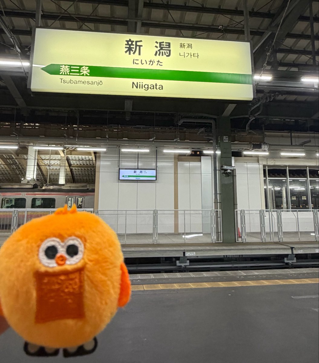 com_caorin's tweet photo. 円盤に入るかな 渉くんの最後の挨拶
みんなに見てほしい 
15周年て本当にすごいね 
キスマイに逢えて本当に幸せだよ
ドームでさらに大きくなった6人に逢うの楽しみだ🩵💜🧡🩷💛💚💋 https://t.co/C5v9HsAoOx