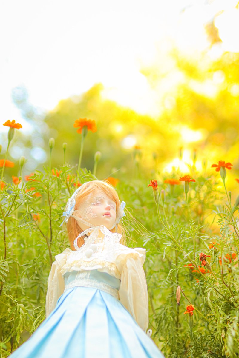 Cotta_Kotta_'s tweet photo. 석양산책 https://t.co/9peADMeDRs