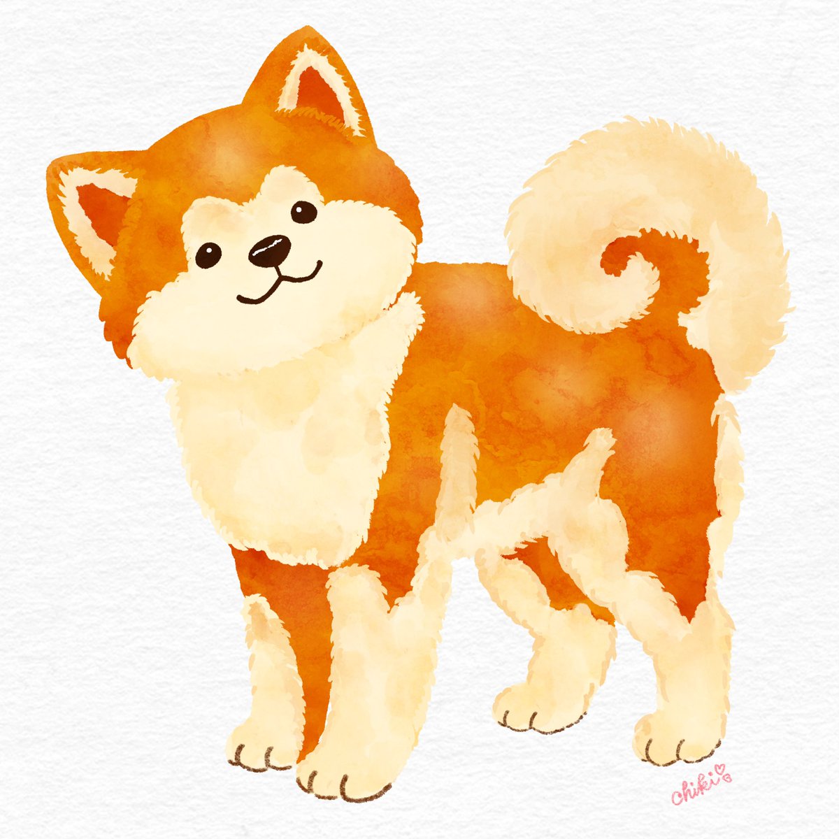 chikidari's tweet photo. 秋田犬🐕

#イラスト https://t.co/99GN74RJ3z