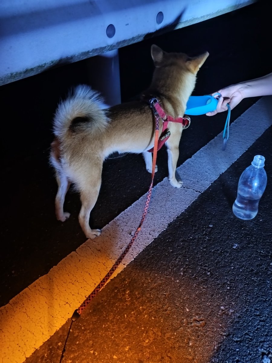 _B_LEACH's tweet photo. 可愛い彼女とスシロー行ってわさだ行って散歩行って日曜日満喫しました🥰 https://t.co/CjY2CwYxLB