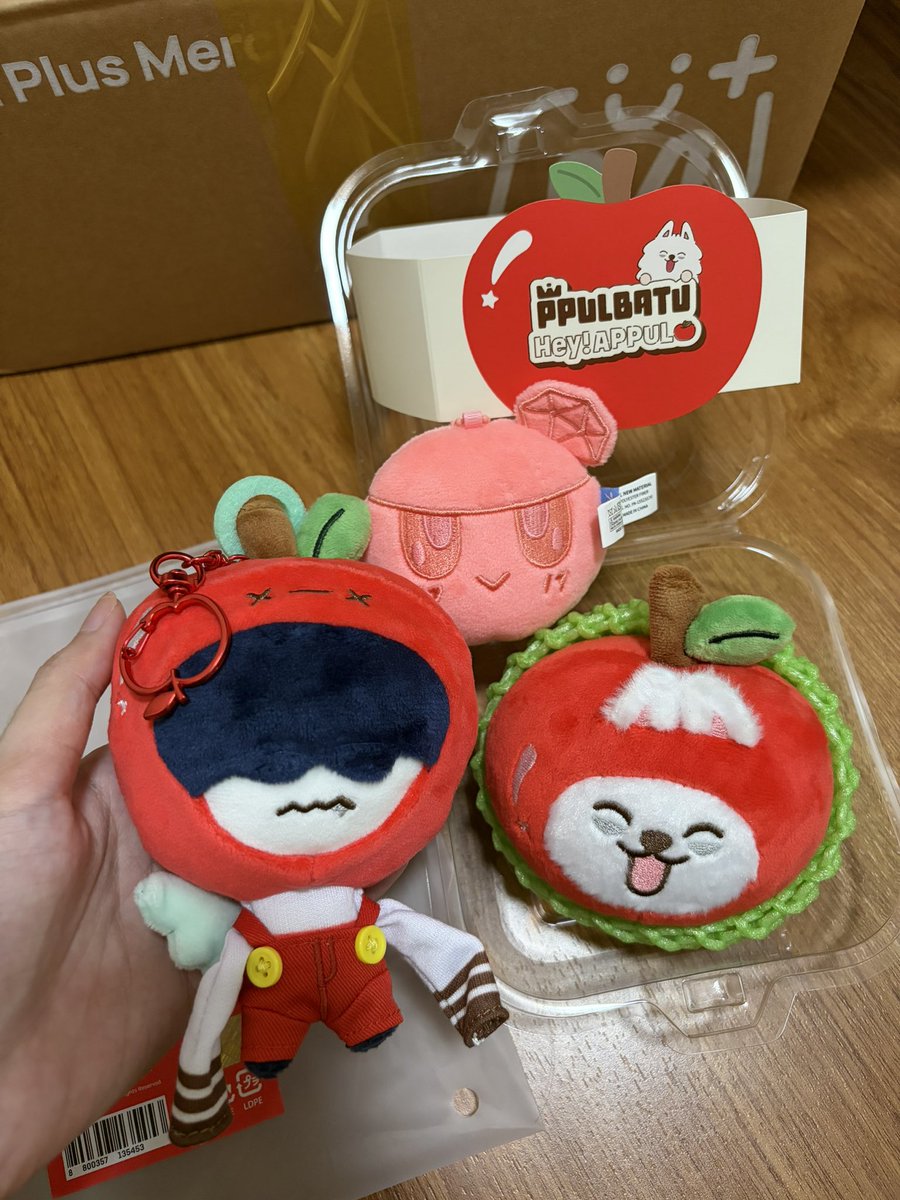 ddreamtxt's tweet photo. henlo~ my appulbatu babies came home today!! **ft. bulacan bongbongee na now ko lang mapo-post >< and as usual, thank u ng maramiii @namjinpls 🥹🫶🏻

#namjinplsFEEDBACK https://t.co/72jP1Bt34p