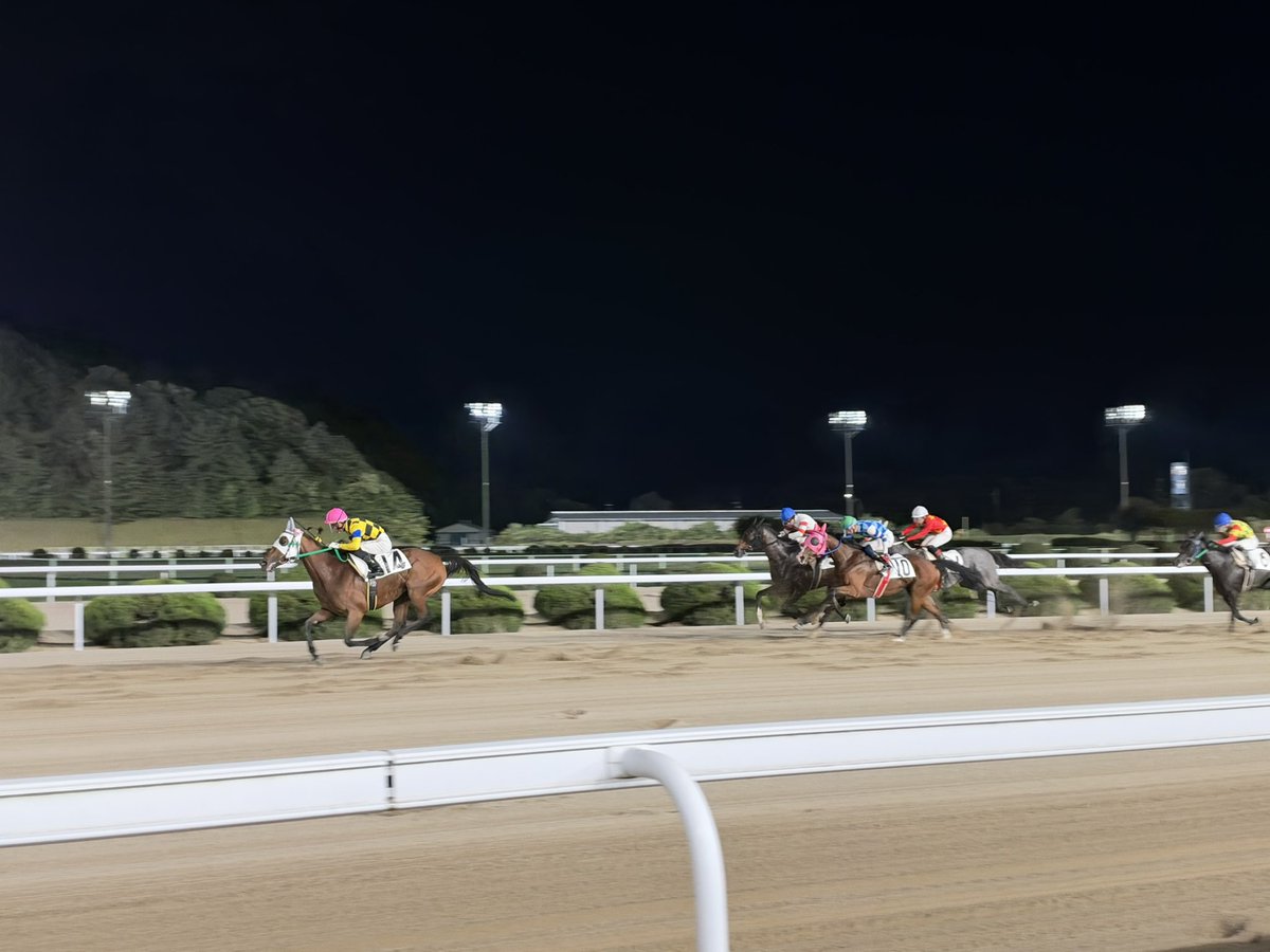 deji2121's tweet photo. 佐賀競馬の歴史上初めて14番の馬が勝ちました。 https://t.co/HJacuRjpP3