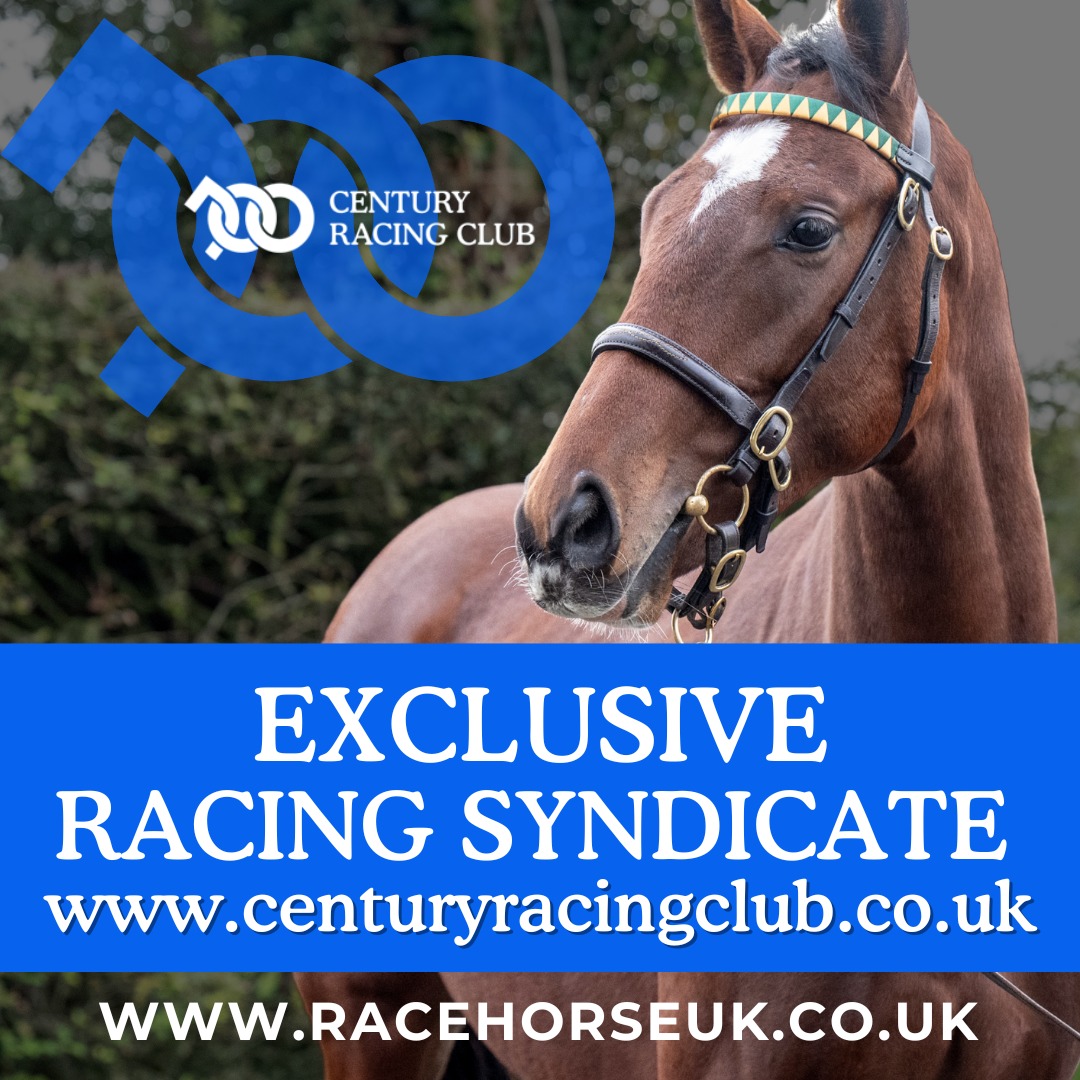Soulokii's tweet photo. Join an exclusive syndicate co-owning four expertly selected racehorses across the 2025 and 2026 flat seasons. Limited to 25 business owners and directors, The Directors Club offers premium racing, hospitality and professional management. https://t.co/8VsLAbzKq2