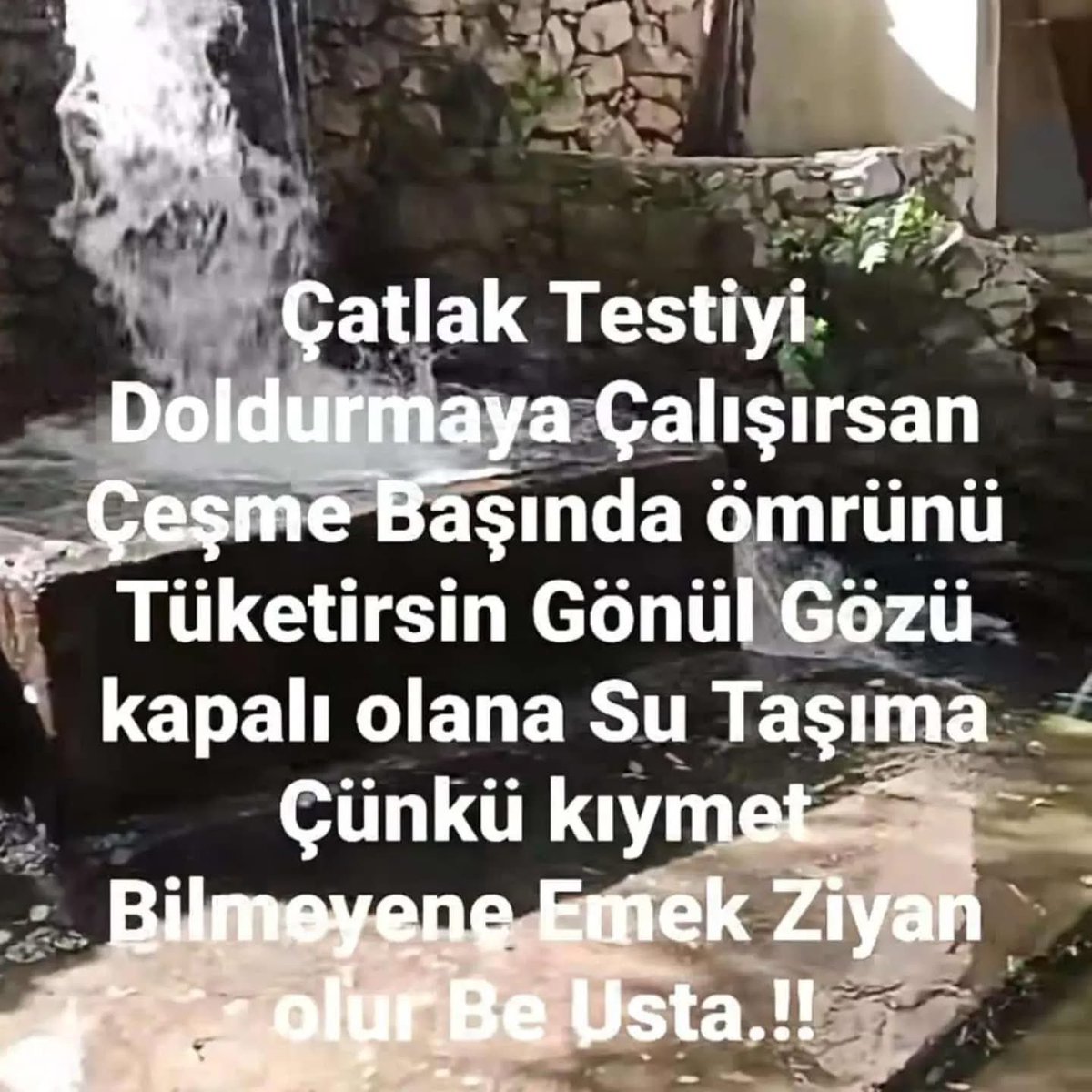 AzizMutlu_58's tweet photo. https://t.co/1GmlB6WCYA