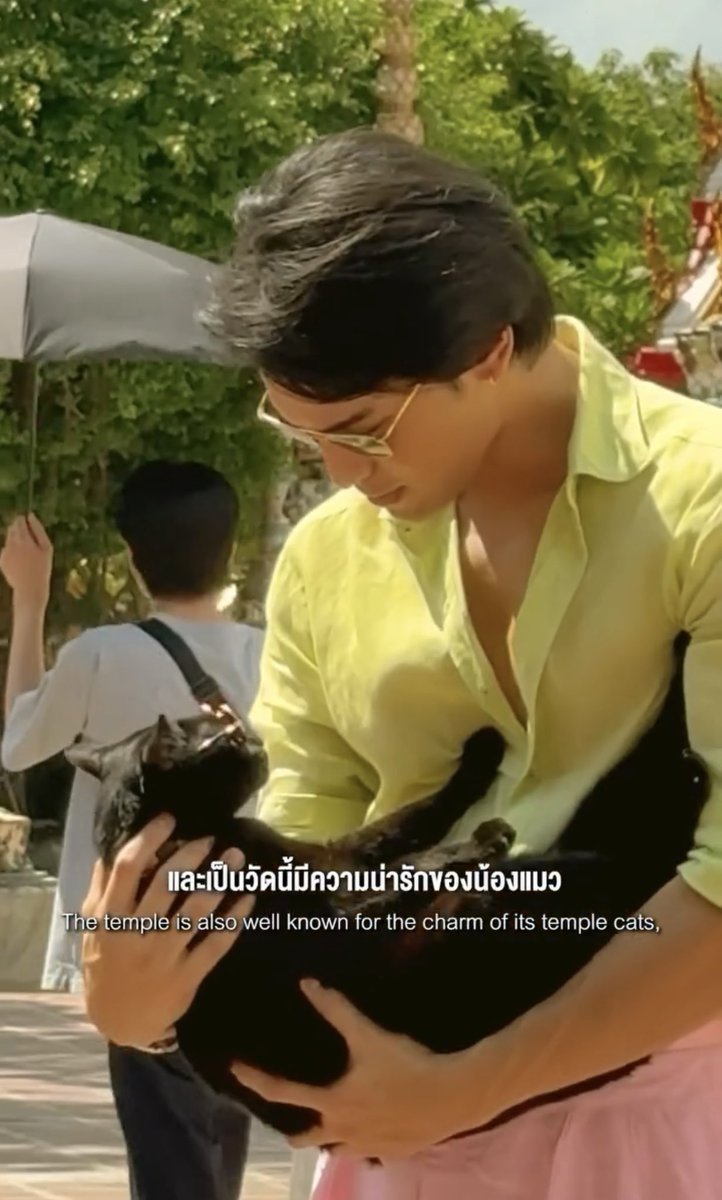 dejapo555's tweet photo. น้อนแอบดื้อนะนั่น แต่ฮีจุ้บน้อน อ้ยยยกรีนแฟลคต่อสัตว์โลก😭🤏😻🍃 https://t.co/63rajvksM8