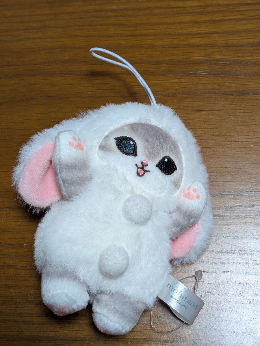 akonitttt's tweet photo. ココウォークのGIGOでこのぬいぐるみくださったカップルの方ありがとう。
めちゃ娘喜んでました。
自分らも娘にあんな優しい人にならんばし、結婚するならあんな優しい人としてねって教えました。 https://t.co/Tr1s4JUNog