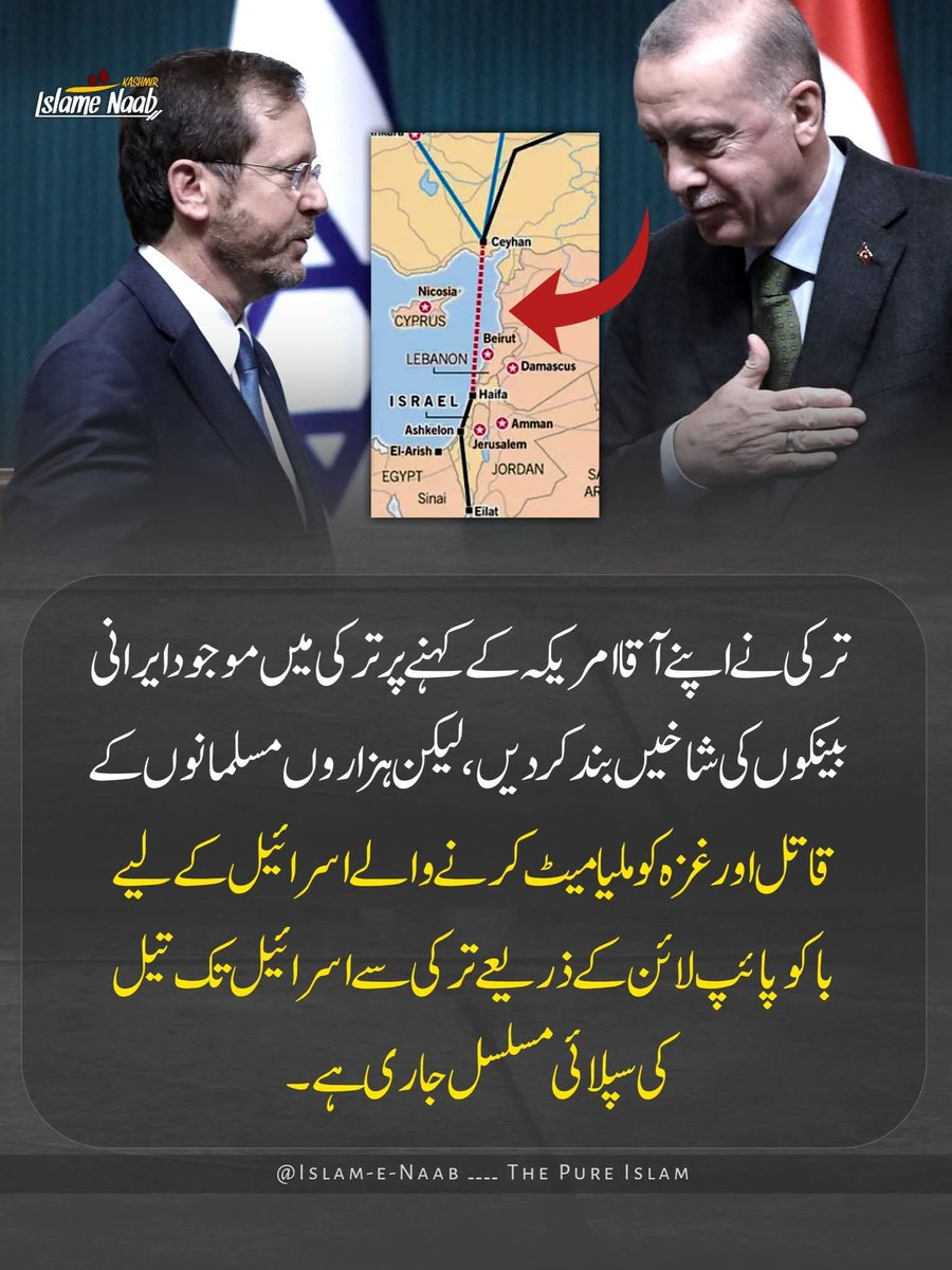 SEHRISHF313's tweet photo. دور حاضر کا سب سے بڑا منافق 👇 https://t.co/5bH4OdSLL4