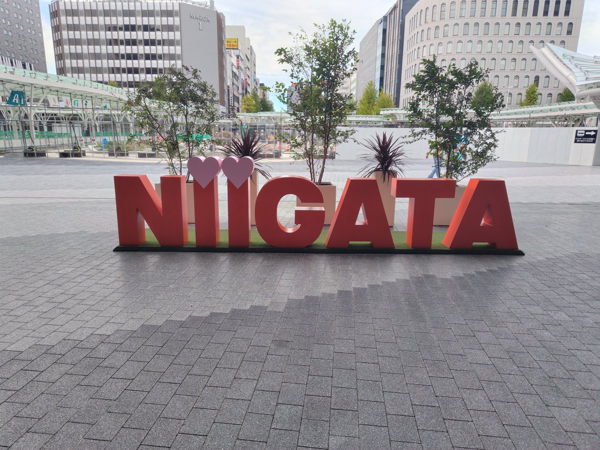 hanataaaan's tweet photo. 学会2日間お疲れ様でした
ホテル全然取れなかったから、学会終わって即帰ってきたけど
次はもう少しちゃんと観光したいな
とりあえず会場近くの展望室から佐渡島は眺めてきました https://t.co/Li7ajcoxWx