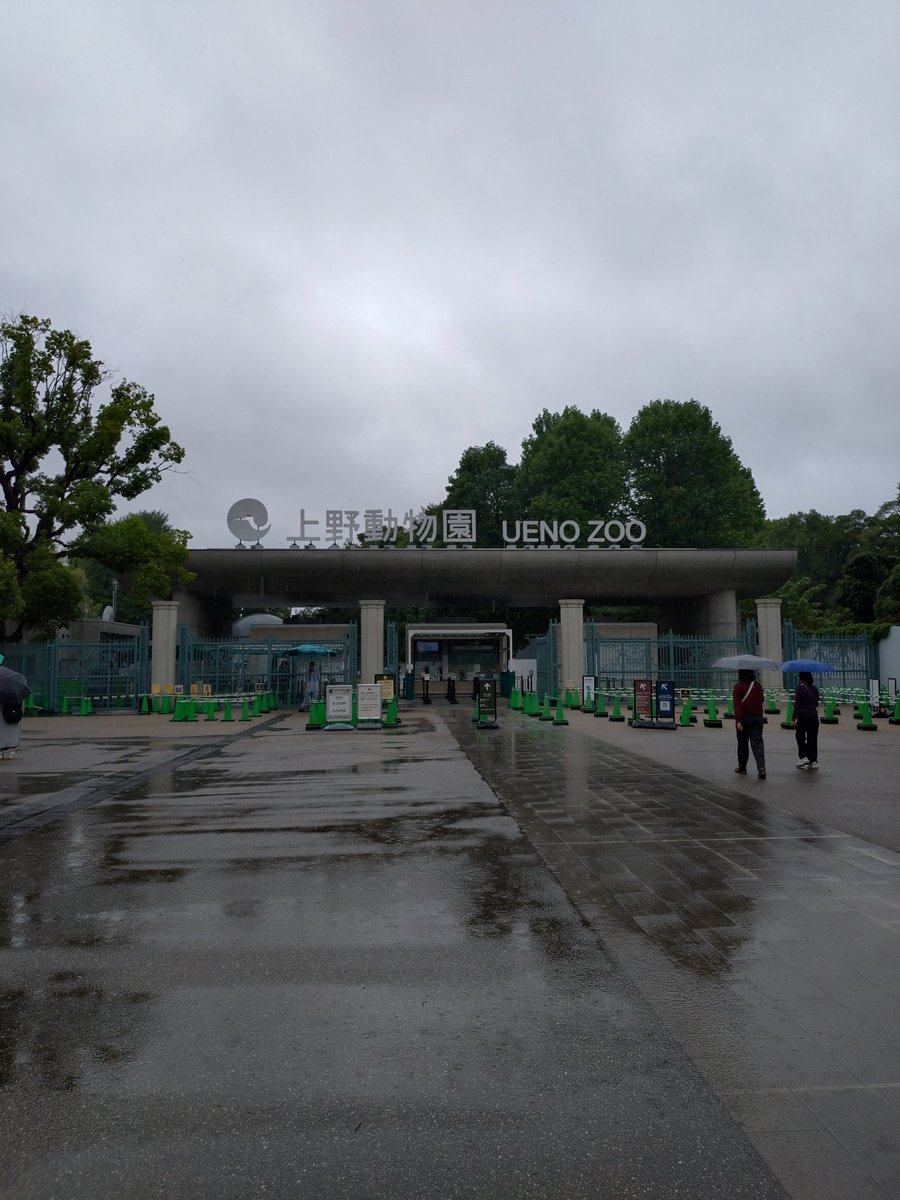shine_uchida's tweet photo. 僕のことをフォローしてくれている優しい皆さんに上野動物園のレッサーパンダ動画をお裾分けします https://t.co/cDjUixreTV