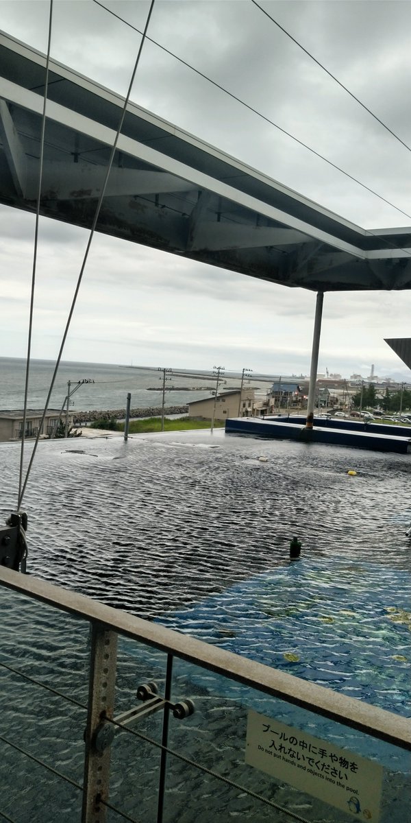 b_cover72's tweet photo. 水族館楽しいんだけどおっさんひとりは肩身が狭い
あと人が多いとまじでなんも見えんし落ちつかん
ショーやるところ外の海も見えてよかった（ショー終了ずみ） https://t.co/zruzJ2FgDs