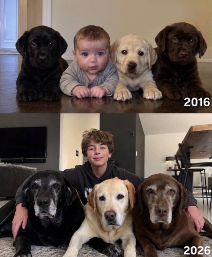 Dalbodog's tweet photo. https://t.co/r6pbDv6JCz