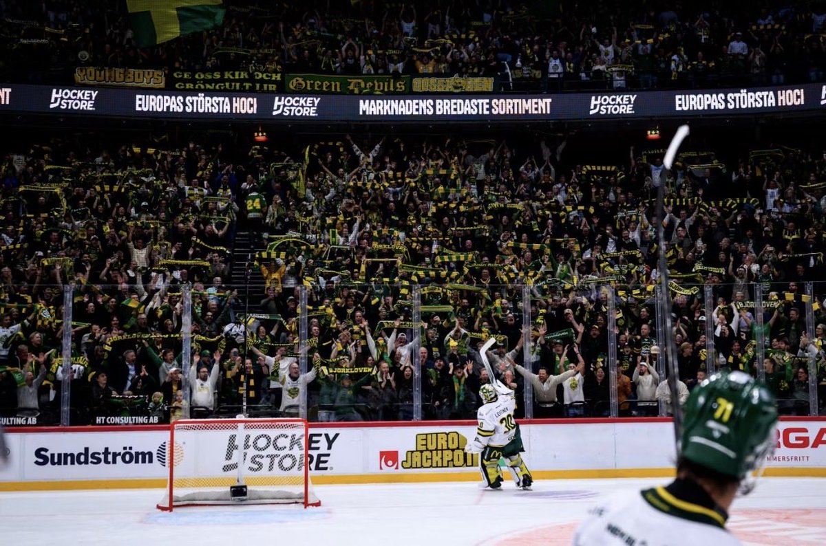 GGAVasterbotten's tweet photo. Umeås stora kärlek, det är Löven 
Vilket lag! 🎶🍃

#Björklöven #SHL https://t.co/QLztKTMLcy