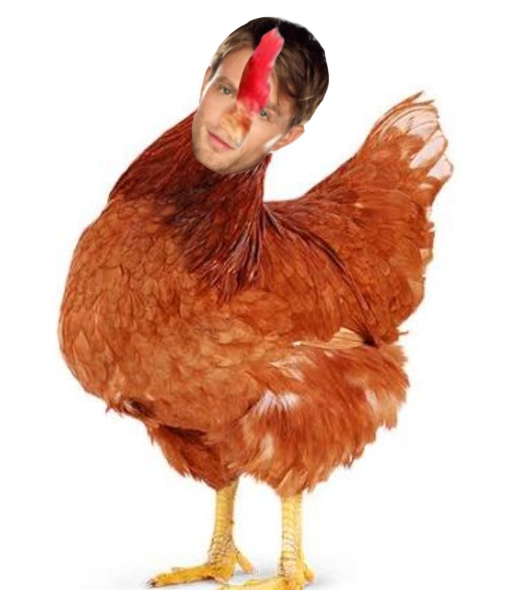 randomkinsella's tweet photo. wade kinsella as a chicken https://t.co/ecTw0ACsxD