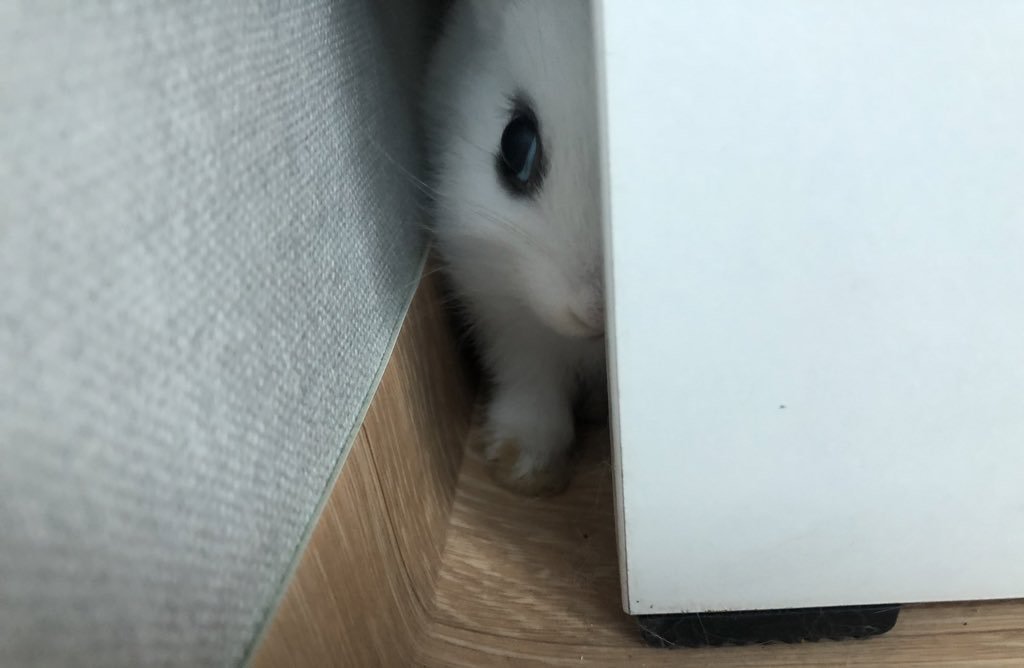 watson_copy's tweet photo. 유아시절부터 너죽이는생각함 https://t.co/Nkmy3nuNJ9