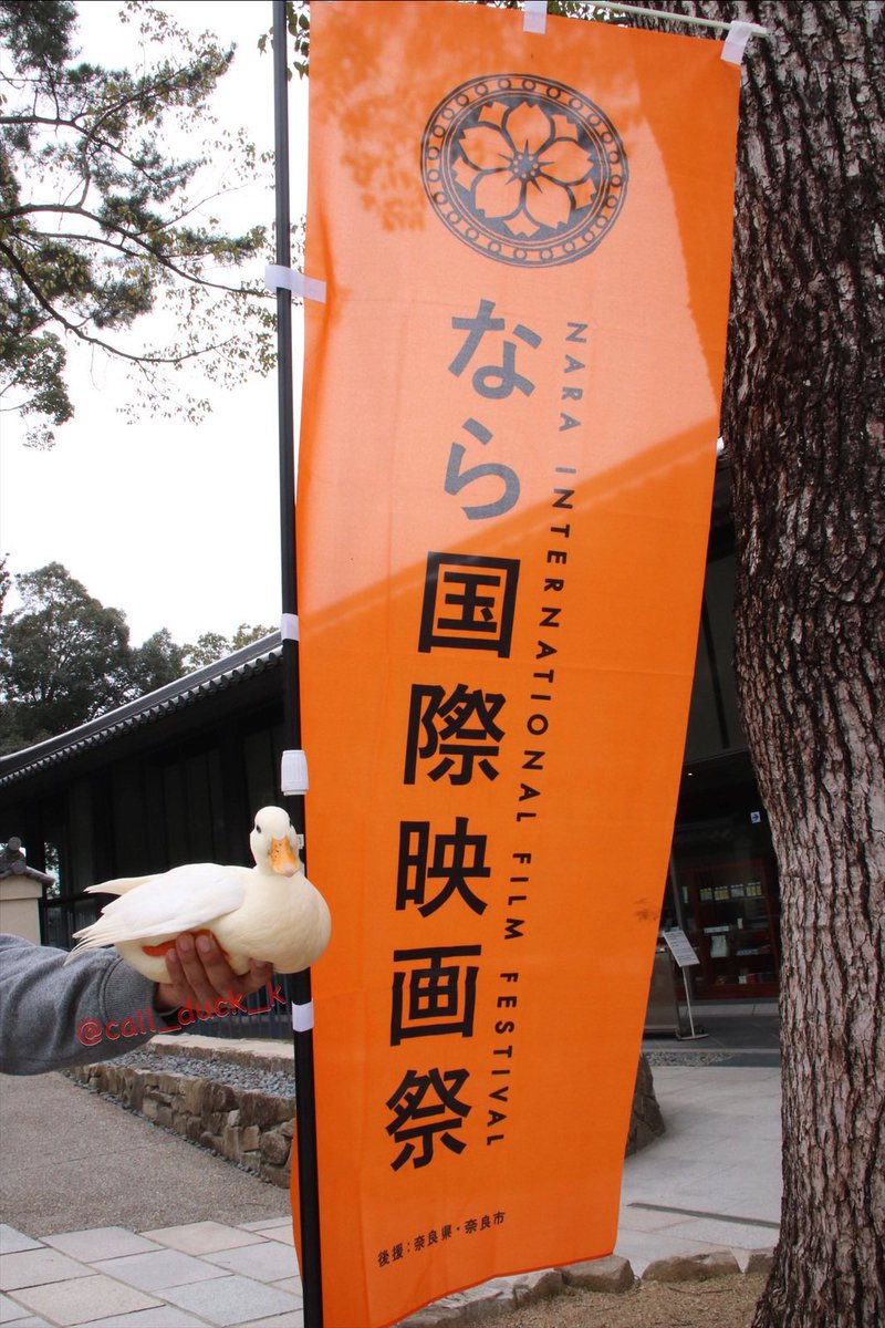 Call_duck_k's tweet photo. Kちゃんやで🐥

なら国際映画祭(@naraiffnaraiff )が9月19日、華やかに開幕したで🐥
　
本日、先陣を切って上映されたのは、なら国際映画祭ユース映画制作ワークショップに13歳から毎年参加し、これまでに6本の映画制作に携わった奈良県出身の梅本侑伽 監督作品『袖ふきかへしても』やで🎬
脚本は美見マイアさん、出演は森田想さん石川瑠華さん、原田開さんやで🐥
舞台挨拶では、世界の河瀨直美 監督からは『このメンバーは才能の塊』と称されるほどで素敵な映画やったで🐥❣️
　
明日9月21日は特別企画『女優から監督へ　監督から女優へ』では、松田美由紀さん、黒木瞳さんが監督として金鐘ホールで登壇予定やで📽️
中川龍太郎監督作品『恒星の向こう側』では、出演した河瀨監督が女優として中川監督と共に登壇予定やで🐥🎞️
この『恒星の向こう側』は10月30日より全国順次公開される作品で、劇場公開に先駆け特別先行上映されますやで🐥

https://t.co/uWaBozOu0d